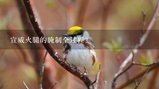 宣威火腿的腌制全过程? 宣威火腿的腌制全过程?