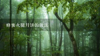 蜂蜜火腿月饼的做法 蜂蜜火腿月饼的做法