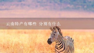 云南特产有哪些 分别有什么 云南特产有哪些 分别有什么