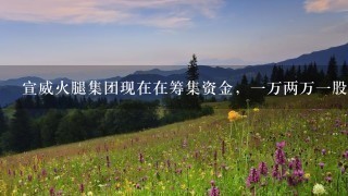 宣威火腿集团现在在筹集资金,一万两万一股,买两万有<br/>1、6万的期权股,然后有2万商城购物,然后公司打 宣威火腿集团现在在筹集资金,一万两万一股,买两万有<br/>1、6万的期权股,然后有2万商城购物,然后公司打