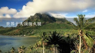 世界十大顶级火腿 世界十大顶级火腿