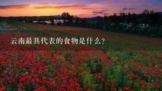 云南最具代表的食物是什么? 云南最具代表的食物是什么?