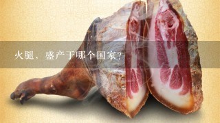 火腿,盛产于哪个国家? 火腿,盛产于哪个国家?