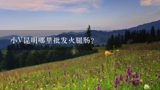 小V昆明哪里批发火腿肠? 小V昆明哪里批发火腿肠?