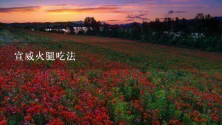 宣威火腿吃法 宣威火腿吃法