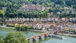 云南禄劝的撒坝火腿比起宣威火腿,哪个更好吃一点? 云南禄劝的撒坝火腿比起宣威火腿,哪个更好吃一点?