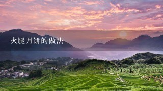 火腿月饼的做法 火腿月饼的做法