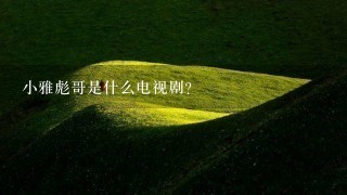 小雅彪哥是什么电视剧? 小雅彪哥是什么电视剧?