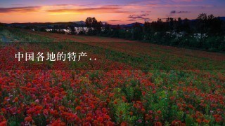中国各地的特产.. 中国各地的特产..