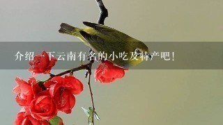 介绍一下云南有名的小吃及特产吧! 介绍一下云南有名的小吃及特产吧!