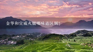 金华和宣威火腿哪味道区别? 金华和宣威火腿哪味道区别?