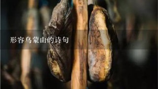形容乌蒙山的诗句 形容乌蒙山的诗句