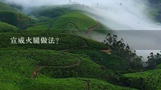 宣威火腿做法? 宣威火腿做法?