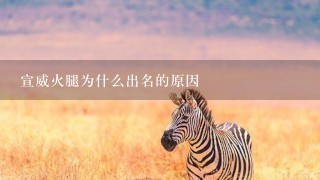 宣威火腿为什么出名的原因 宣威火腿为什么出名的原因
