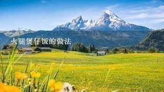 火腿煲仔饭的做法 火腿煲仔饭的做法