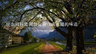 什么调料能调出云南宣威火腿的味道 什么调料能调出云南宣威火腿的味道