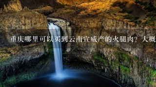 重庆哪里可以买到云南宣威产的火腿肉?大概多少钱? 重庆哪里可以买到云南宣威产的火腿肉?大概多少钱?