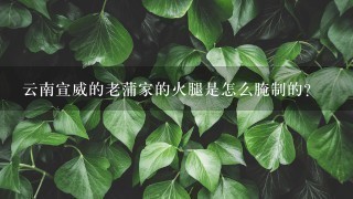 云南宣威的老蒲家的火腿是怎么腌制的? 云南宣威的老蒲家的火腿是怎么腌制的?