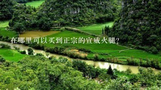 在哪里可以买到正宗的宣威火腿? 在哪里可以买到正宗的宣威火腿?