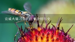 宣威火腿习俗,主要介绍历史 宣威火腿习俗,主要介绍历史