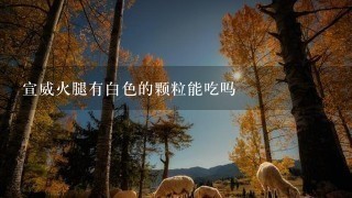 宣威火腿有白色的颗粒能吃吗 宣威火腿有白色的颗粒能吃吗