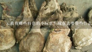 云南有哪些特色的小玩意?现在去要带些什么衣服? 云南有哪些特色的小玩意?现在去要带些什么衣服?