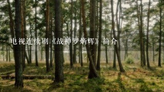 电视连续剧《战神罗炳辉》简介 电视连续剧《战神罗炳辉》简介