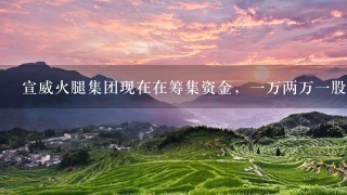 宣威火腿集团现在在筹集资金,一万两万一股,买两万有<br/>1、6万的期权股,然后有2万商城购物,然后公司打 宣威火腿集团现在在筹集资金,一万两万一股,买两万有<br/>1、6万的期权股,然后有2万商城购物,然后公司打