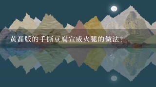 黄磊版的手撕豆腐宣威火腿的做法? 黄磊版的手撕豆腐宣威火腿的做法?