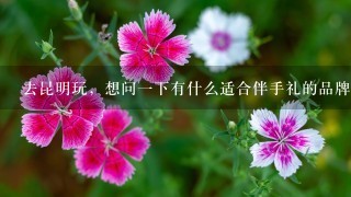 去昆明玩,想问一下有什么适合伴手礼的品牌呀~ 去昆明玩,想问一下有什么适合伴手礼的品牌呀~