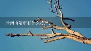 云南曲靖市有什么特产? 云南曲靖市有什么特产?