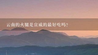 云南的火腿是宣威的最好吃吗? 云南的火腿是宣威的最好吃吗?