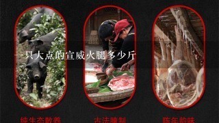 一只大点的宣威火腿多少斤 一只大点的宣威火腿多少斤