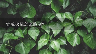 宣威火腿怎么腌制? 宣威火腿怎么腌制?