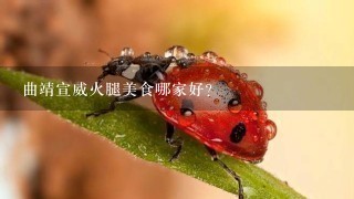 曲靖宣威火腿美食哪家好? 曲靖宣威火腿美食哪家好?