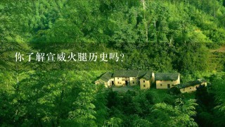 你了解宣威火腿历史吗? 你了解宣威火腿历史吗?