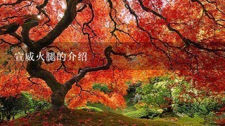 宣威火腿的介绍 宣威火腿的介绍