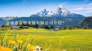 宣威市宣特火腿有限公司介绍? 宣威市宣特火腿有限公司介绍?