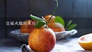 宣威火腿的来历? 宣威火腿的来历?