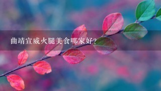 曲靖宣威火腿美食哪家好? 曲靖宣威火腿美食哪家好?