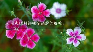云南火腿月饼哪个品牌的好吃? 云南火腿月饼哪个品牌的好吃?
