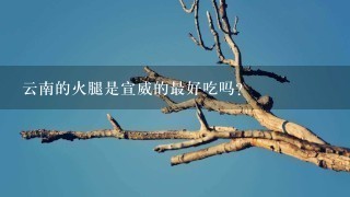 云南的火腿是宣威的最好吃吗? 云南的火腿是宣威的最好吃吗?