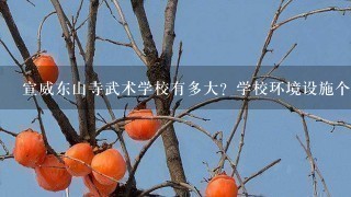 宣威东山寺武术学校有多大?学校环境设施个方面怎么样? 宣威东山寺武术学校有多大?学校环境设施个方面怎么样?