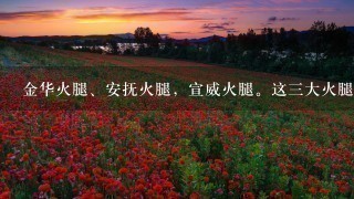 金华火腿、安抚火腿,宣威火腿。这三大火腿有什么区 金华火腿、安抚火腿,宣威火腿。这三大火腿有什么区