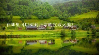 在哪里可以买到正宗的宣威火腿? 在哪里可以买到正宗的宣威火腿?