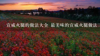 宣威火腿的做法大全 最美味的宣威火腿做法三则分享 宣威火腿的做法大全 最美味的宣威火腿做法三则分享
