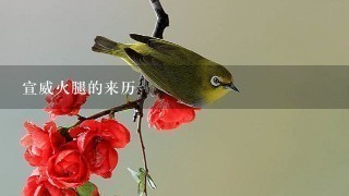 宣威火腿的来历 宣威火腿的来历