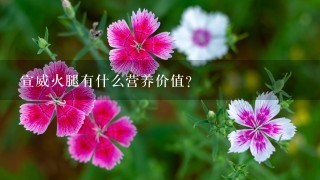 宣威火腿有什么营养价值? 宣威火腿有什么营养价值?