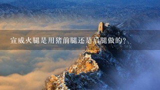 宣威火腿是用猪前腿还是后腿做的? 宣威火腿是用猪前腿还是后腿做的?