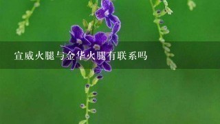 宣威火腿与金华火腿有联系吗